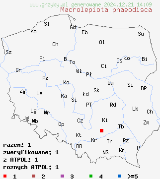 znaleziska Macrolepiota phaeodisca na terenie Polski