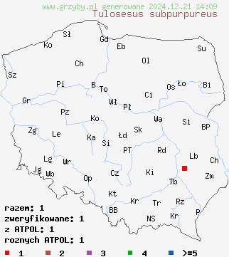 znaleziska Tulosesus subpurpureus na terenie Polski