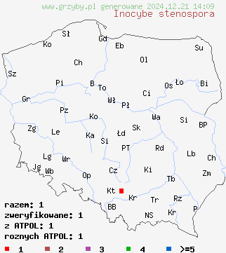 znaleziska Inocybe stenospora na terenie Polski