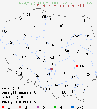 znaleziska Steccherinum oreophilum (porokolczak górski) na terenie Polski