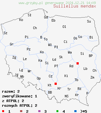 znaleziska Suillellus mendax na terenie Polski