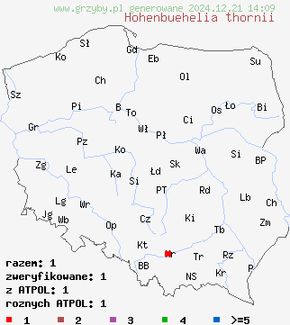 znaleziska Hohenbuehelia thornii na terenie Polski