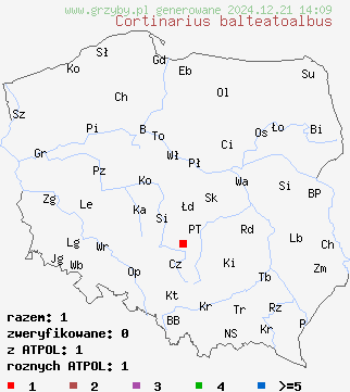 znaleziska Cortinarius balteatoalbus na terenie Polski