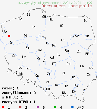 znaleziska Dacrymyces lacrymalis na terenie Polski