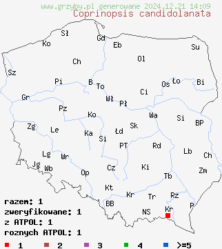 znaleziska Coprinopsis candidolanata na terenie Polski