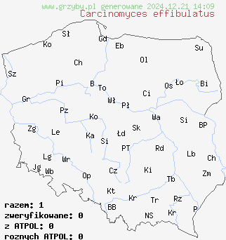 znaleziska Carcinomyces effibulatus (grzyborak bezsprzążkowy) na terenie Polski