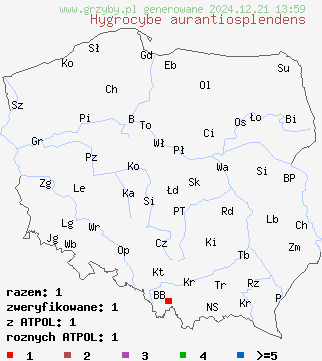 znaleziska Hygrocybe aurantiosplendens (wilgotnica ozdobna) na terenie Polski