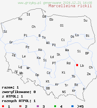 znaleziska Marcelleina rickii na terenie Polski