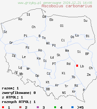 znaleziska Ascobolus carbonarius na terenie Polski