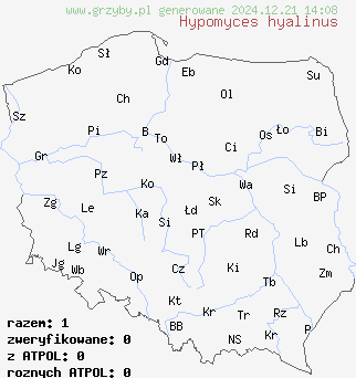 znaleziska Hypomyces hyalinus na terenie Polski