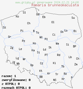 znaleziska Ramaria brunneomaculata na terenie Polski