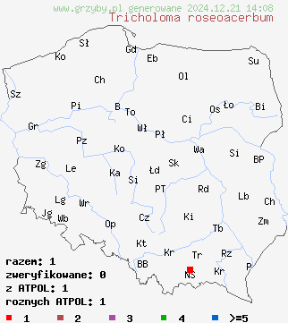 znaleziska Tricholoma roseoacerbum (gąska różowosmugowa) na terenie Polski