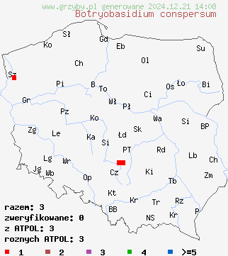 znaleziska Botryobasidium conspersum (pajęczynowiec niepozorny) na terenie Polski