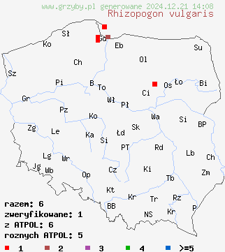 znaleziska Rhizopogon vulgaris (piestrówka wąskozarodnikowa) na terenie Polski