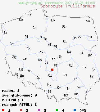 znaleziska Spodocybe trulliformis na terenie Polski