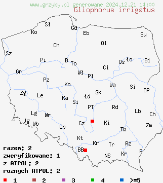 znaleziska Gliophorus irrigatus (wilgotniczka szara) na terenie Polski