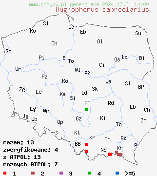 znaleziska Hygrophorus capreolarius (wodnicha kozia) na terenie Polski