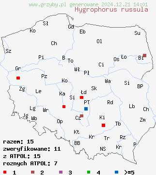 znaleziska Hygrophorus russula (wodnicha gołąbkowa) na terenie Polski