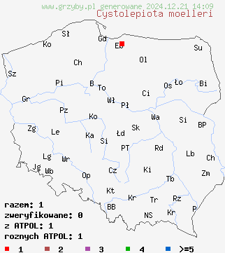 znaleziska Cystolepiota moelleri na terenie Polski