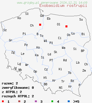 znaleziska Exobasidium rostrupii (płaskosz żurawiny) na terenie Polski