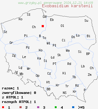 znaleziska Exobasidium karstenii (płaskosz pędowy modrzewnicy) na terenie Polski