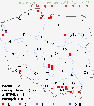 znaleziska Asterophora lycoperdoides (grzybolubka purchawkowata) na terenie Polski