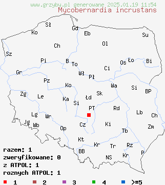 znaleziska Mycobernardia incrustans na terenie Polski