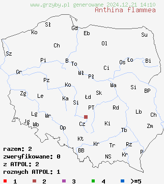 znaleziska Anthina flammea na terenie Polski