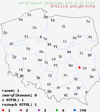 znaleziska Orbilia polybrocha na terenie Polski