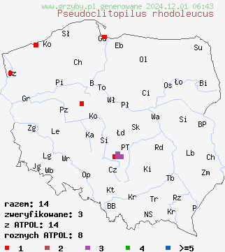 znaleziska Pseudoclitopilus rhodoleucus na terenie Polski