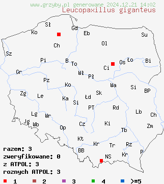 znaleziska Leucopaxillus giganteus (białokrowiak okazały) na terenie Polski