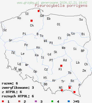 znaleziska Pleurocybella porrigens (bokówka biała) na terenie Polski