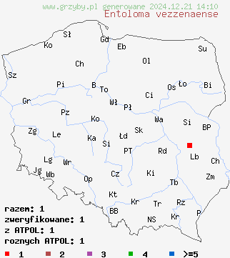 znaleziska Entoloma vezzenaense na terenie Polski