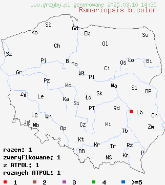 znaleziska Ramariopsis bicolor na terenie Polski