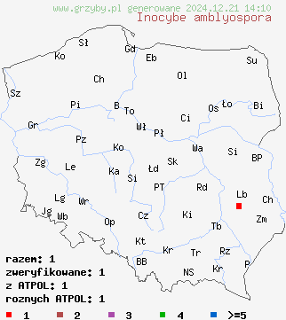 znaleziska Inocybe amblyospora na terenie Polski