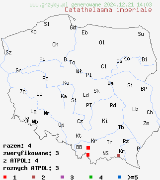 znaleziska Catathelasma imperiale (dwupierścieniak cesarski) na terenie Polski