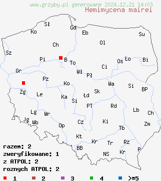 znaleziska Hemimycena mairei (białogrzybówka trawowa) na terenie Polski