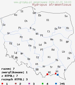 znaleziska Hydropus atramentosus (mokronóżka czerniejąca) na terenie Polski