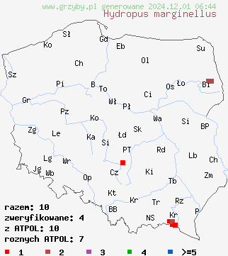 znaleziska Hydropus marginellus (mokronóżka brązowoostrzowa) na terenie Polski