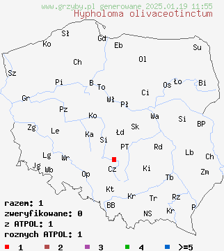 znaleziska Hypholoma olivaceotinctum na terenie Polski