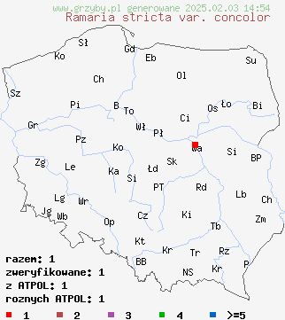 znaleziska Ramaria stricta var. concolor na terenie Polski