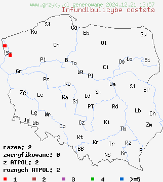 znaleziska Infundibulicybe costata (lejkówka karbowana) na terenie Polski