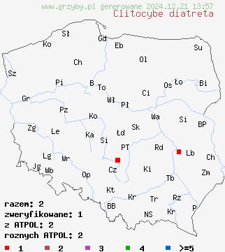 znaleziska Clitocybe diatreta (lejkówka rdzawa) na terenie Polski