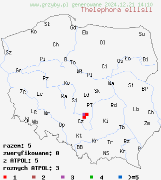 znaleziska Thelephora ellisii na terenie Polski