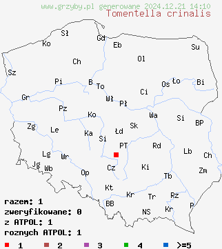 znaleziska Tomentella crinalis (kutnerka włochata) na terenie Polski