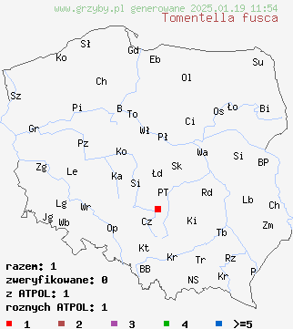 znaleziska Tomentella fusca (kutnerka rdzawa) na terenie Polski