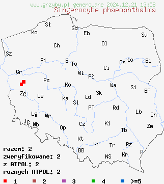 znaleziska Singerocybe phaeophthalma (lejkówka rzodkiewkowata) na terenie Polski