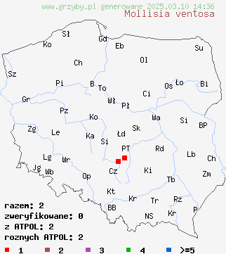 znaleziska Mollisia ventosa na terenie Polski