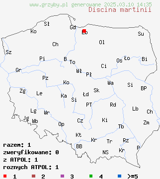 znaleziska Discina martinii na terenie Polski