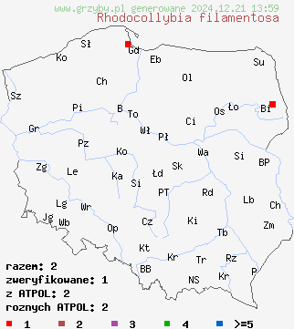 znaleziska Rhodocollybia filamentosa (monetnica sucha) na terenie Polski